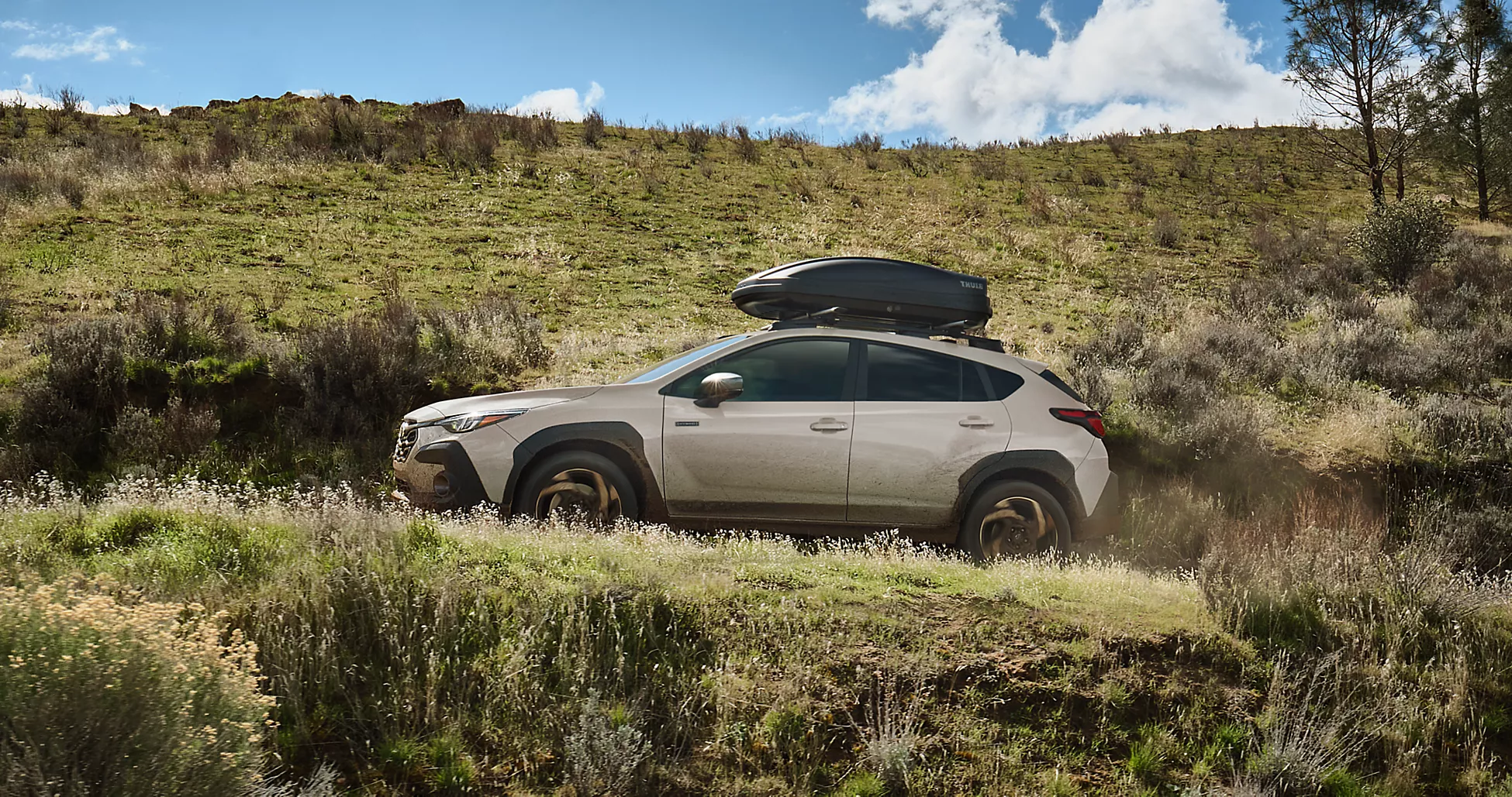 Crosstrek Maintenance