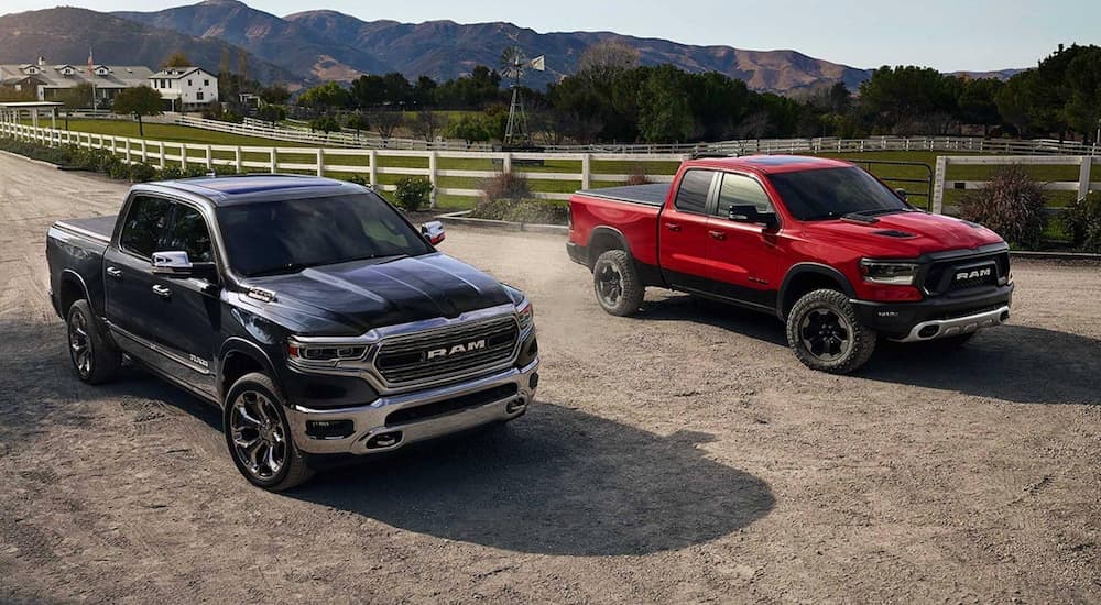A black and a red 2019 Ram 1500 parked side-by-side on a farm.