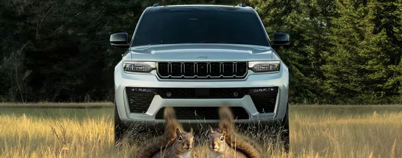 A silver 2026 Jeep Grand Cherokee parked on grass.