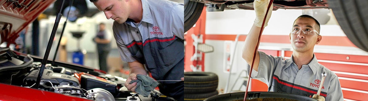 Toyota Oil Change
