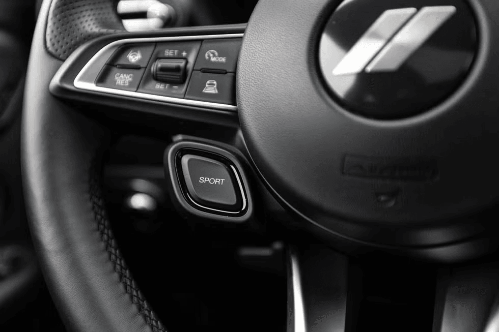 Dodge Hornet Interior