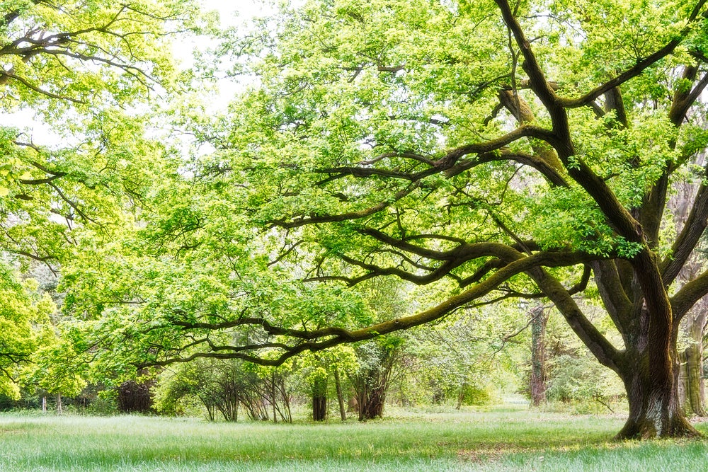 5 Spring Activities within Driving Distance of Salisbury, MD