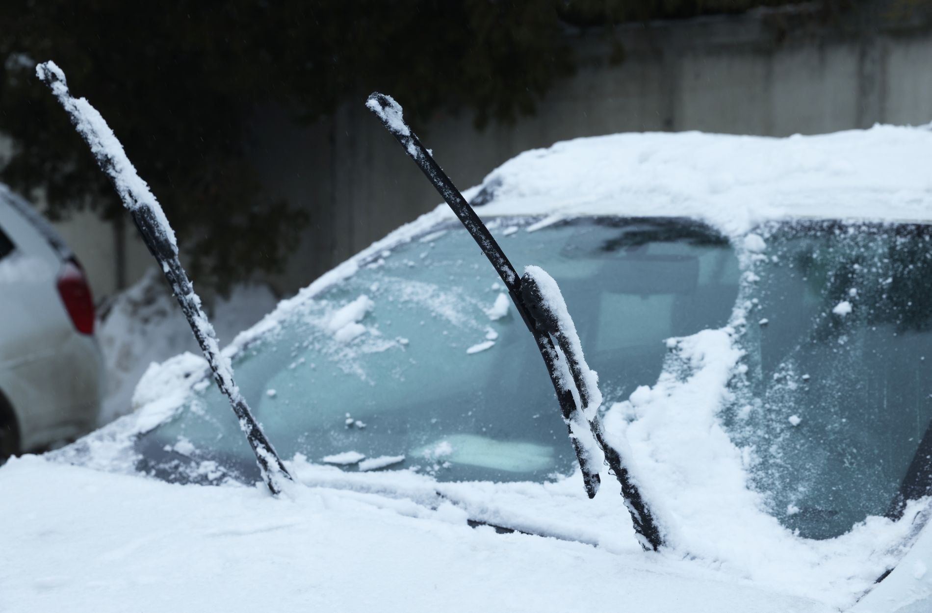 windshield care