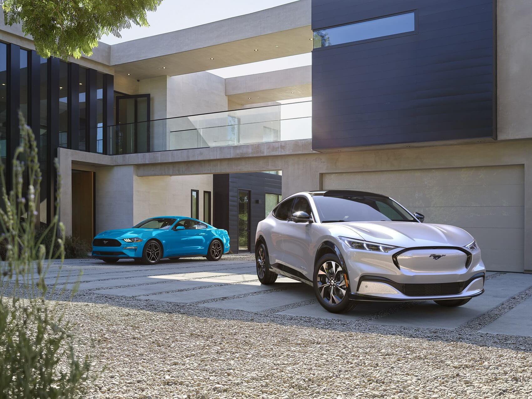 Ford Dealer Vassar MI