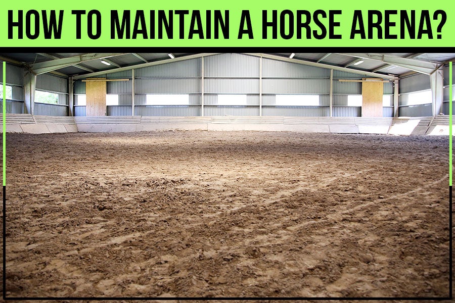 maintaining a horse arena. Dirt Werx