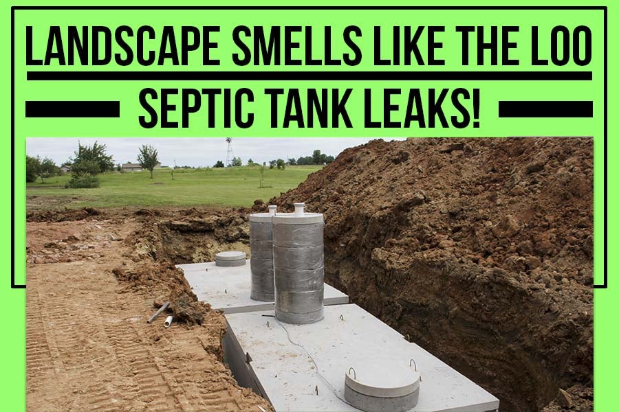 Landscape might smells like a septic tank