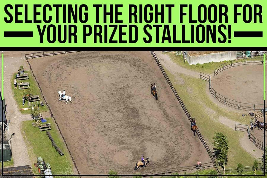 Selecting the right floor for your prized stallions. Dirt Werx