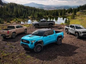Four Toyota Tacoma trucks parked in the forest.