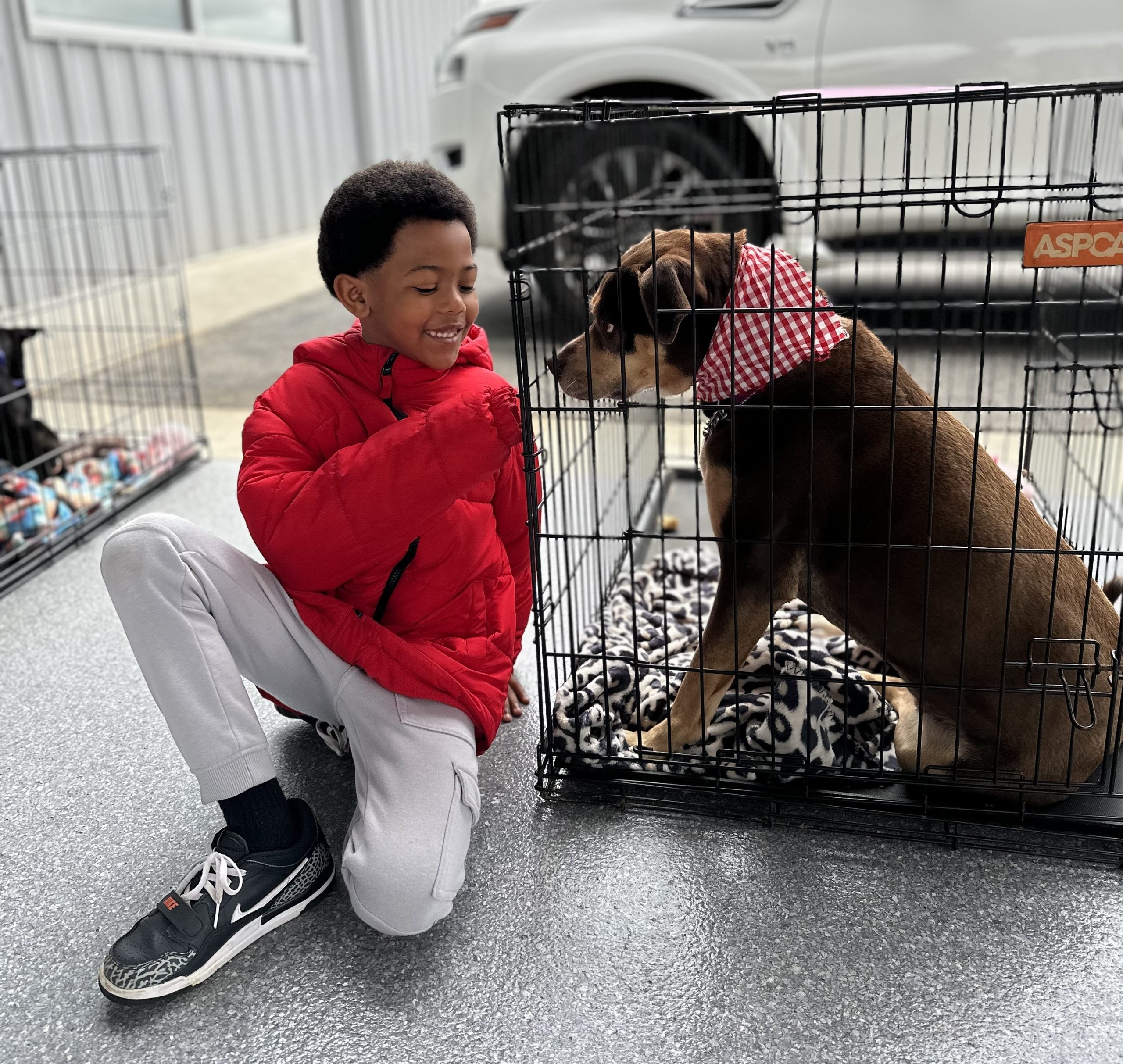 Mitchell Nissan Load the Rogue Event for the SOS Animal Shelter