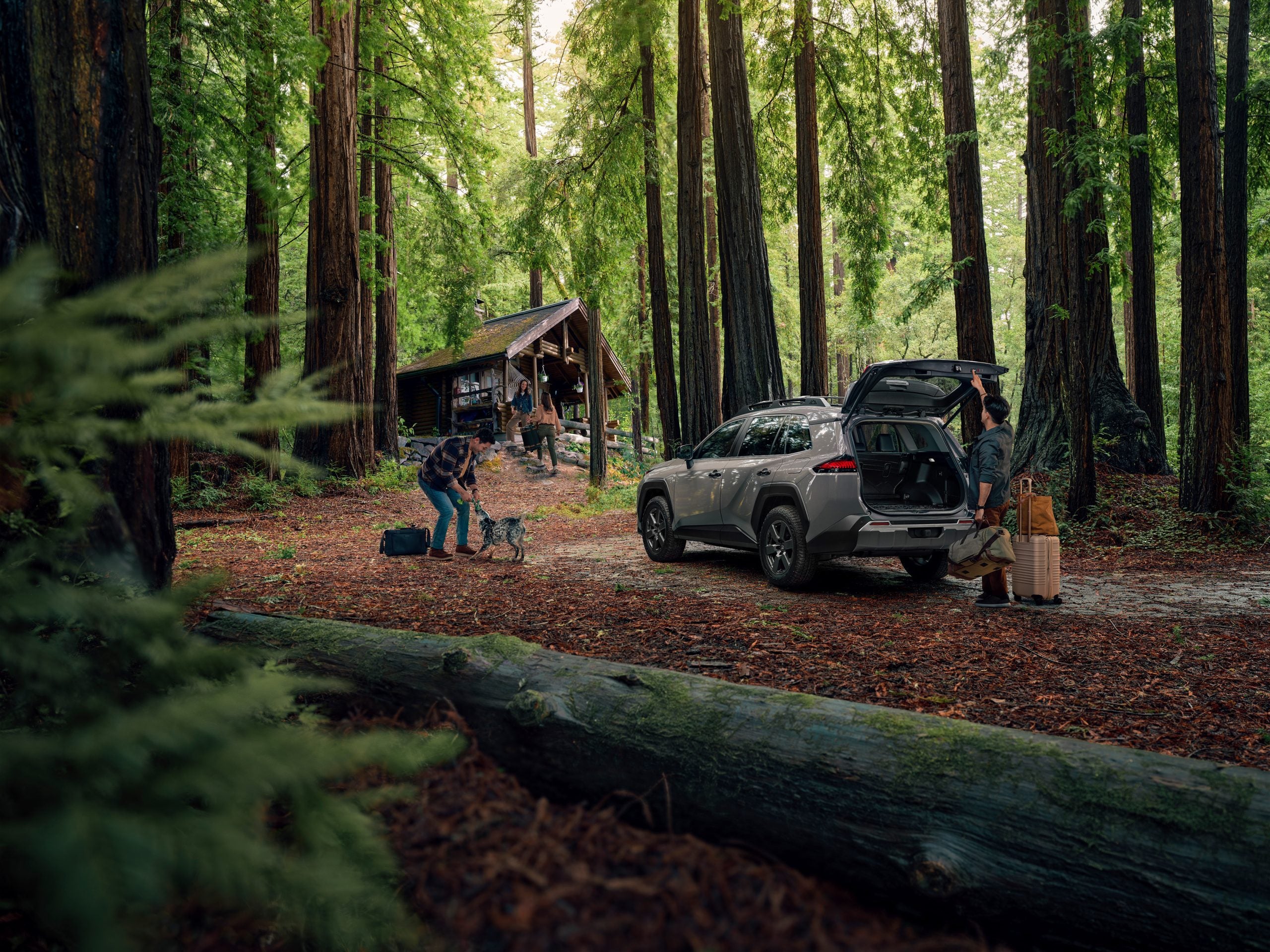 rav4 hybrid