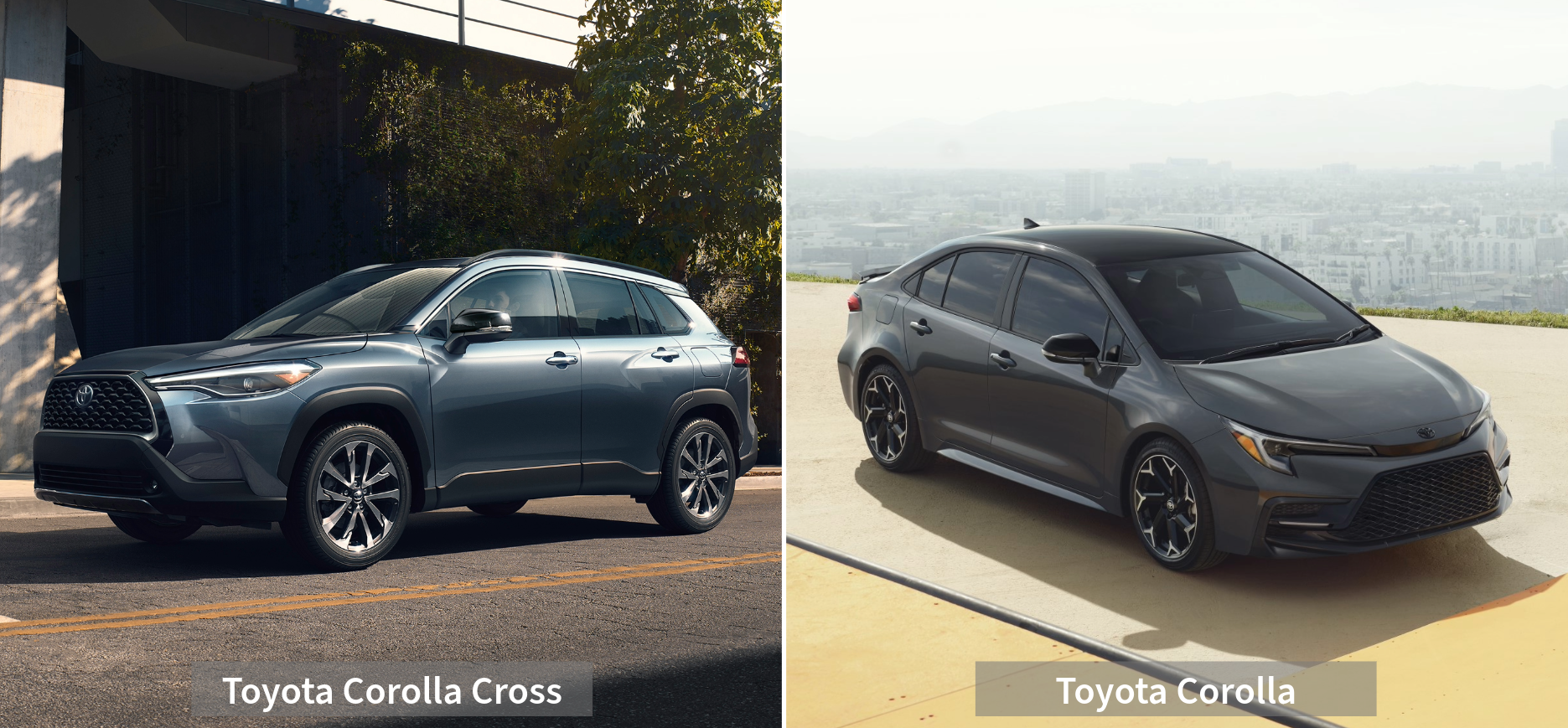 Corolla Cross and Corolla