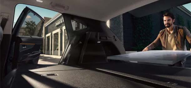 Cargo Area