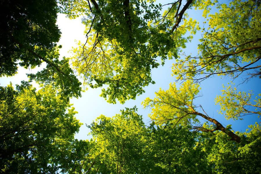 Explore Bowdoin Park In Wappingers Falls