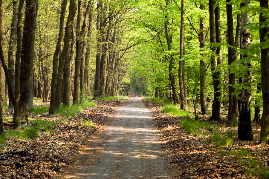 Wappinger Greenway