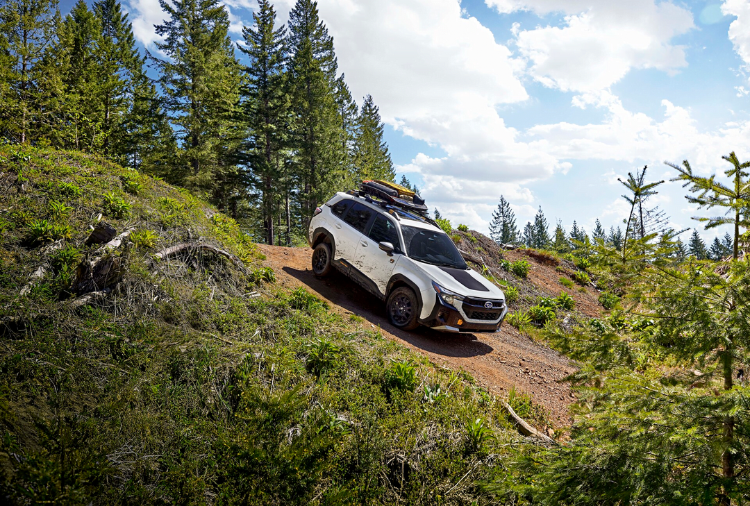2026 Subaru Forester Wilderness