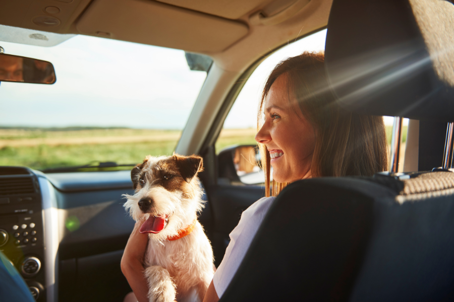 Tips For Car Rides With Pets
