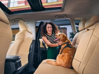 2025 Toyota RAV4 Interior Feature