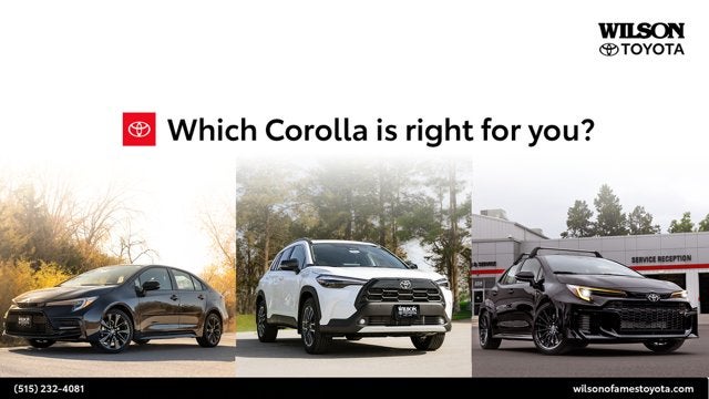 Wilson Toyota