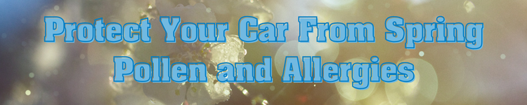 protect car from spring pollen blog banner