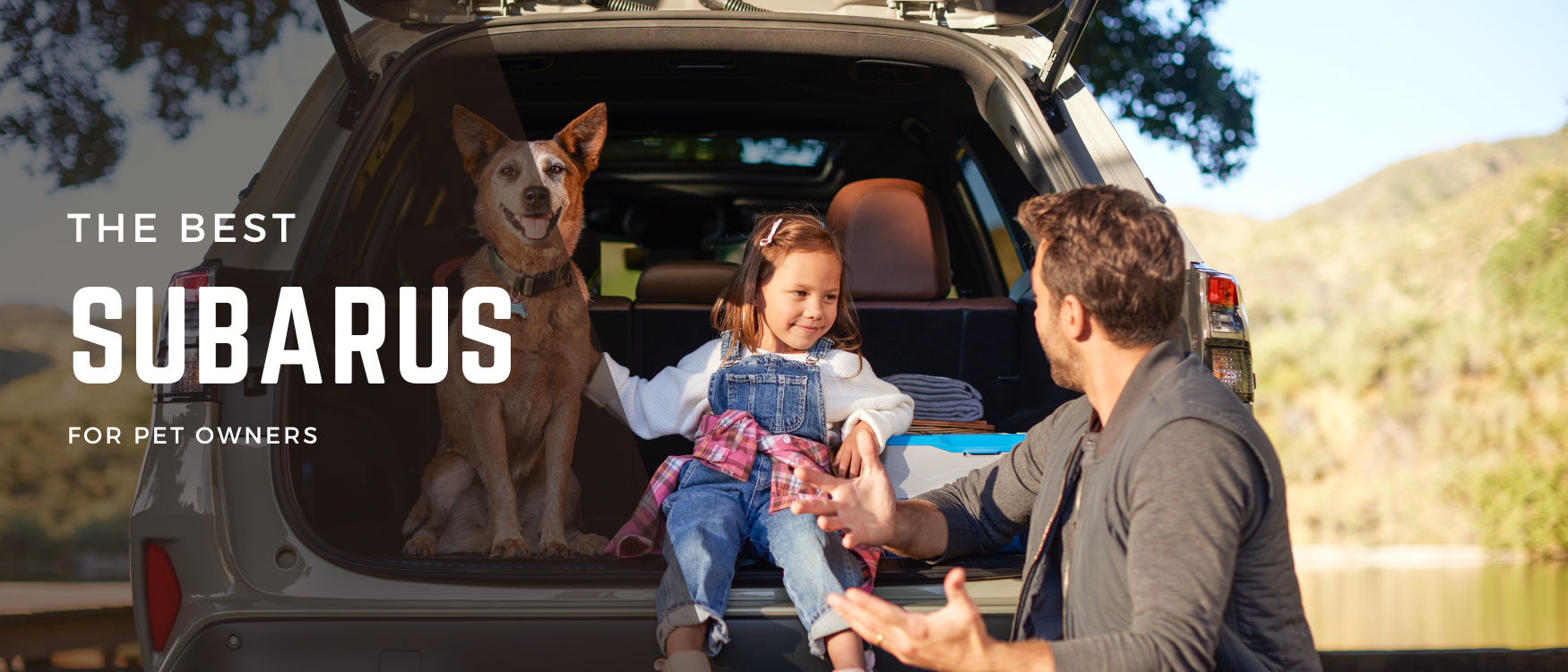 best subaru for pet owners blog banner