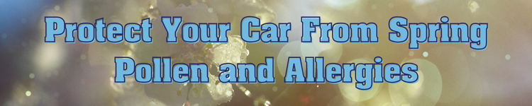 protect car from spring pollen blog banner (1)