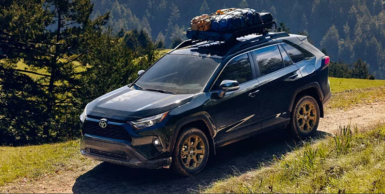 A black 2025 Toyota RAV4 parked on a dirt road with woods in the background.