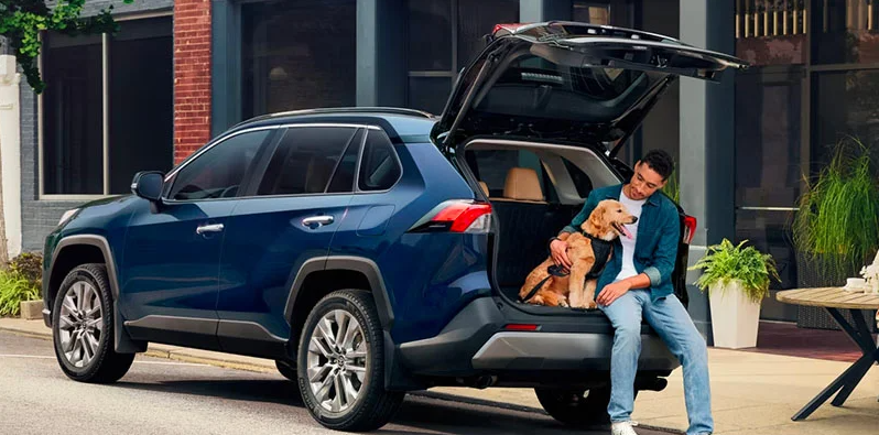 A man and his golden Retriever sitting in the trunk of a 2025 Toyota Rav4.