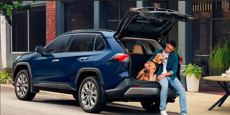 A man and his dog sitting in the back of a 2025 Toyota RAV4.