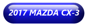 glossy online buttons - Copy (3)