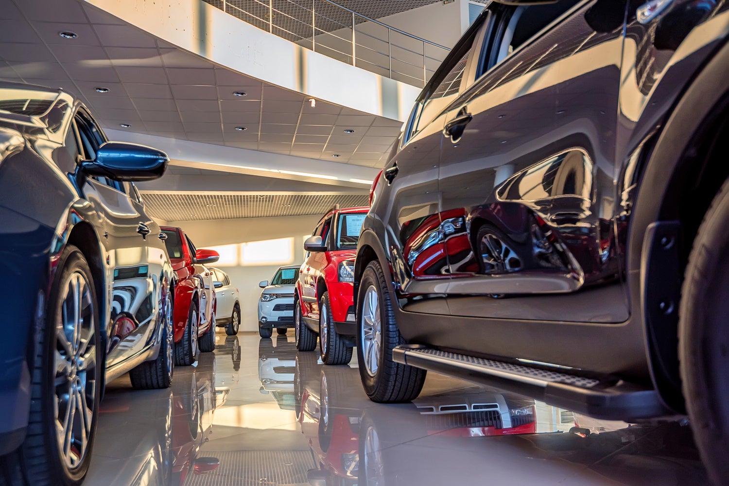 Cars parked inside dealer showroom