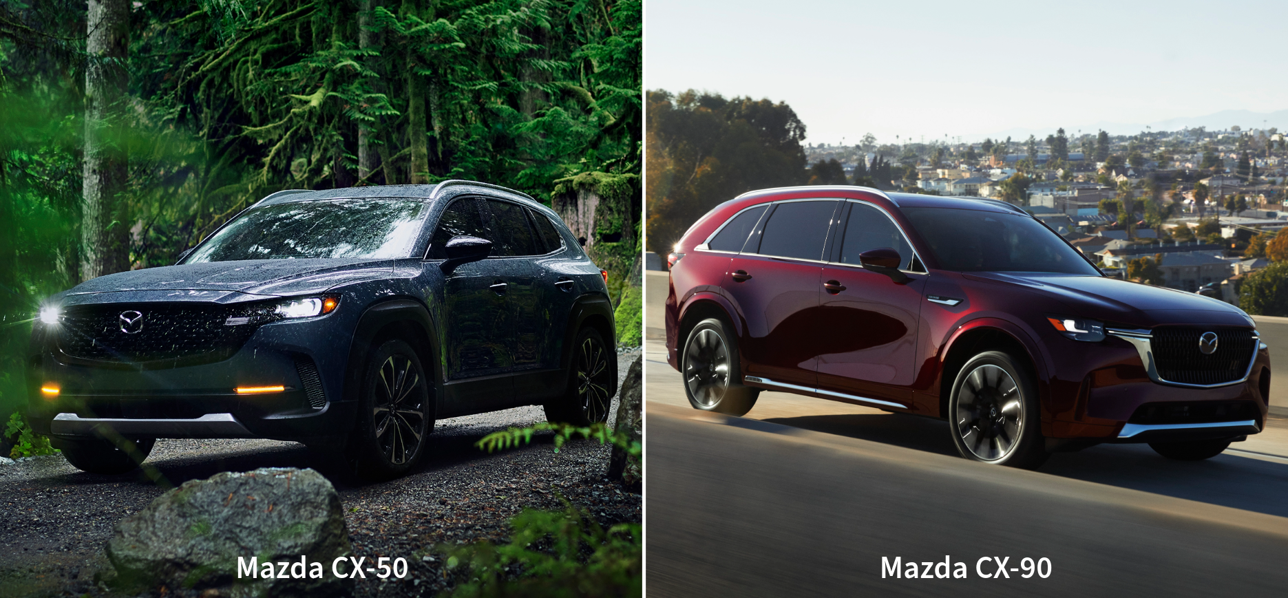 cx50 and cx90