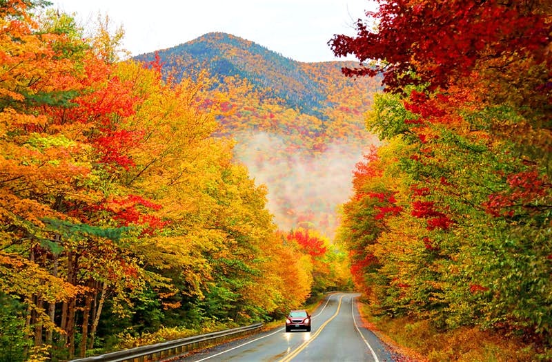 Car driving in fall foliage