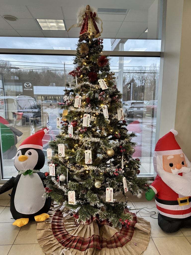 Steet Ponte Ford Christmas Giving Tree. Tags on tree are to benefit families in the Adopt-a-Family program through ICAN in Utica, NY. 