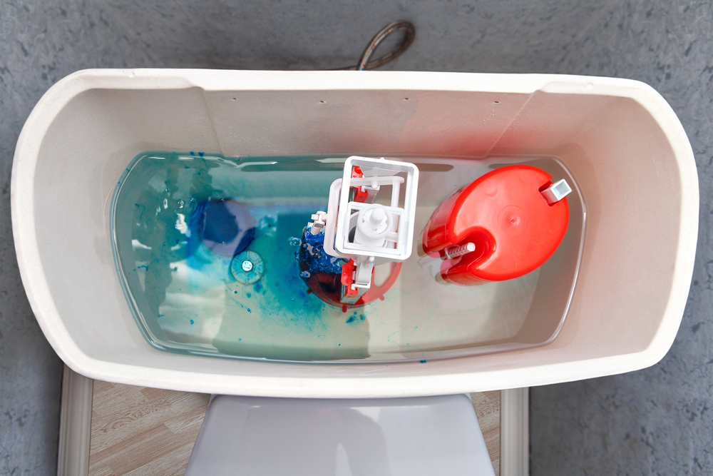 cook county toilet plumber.
