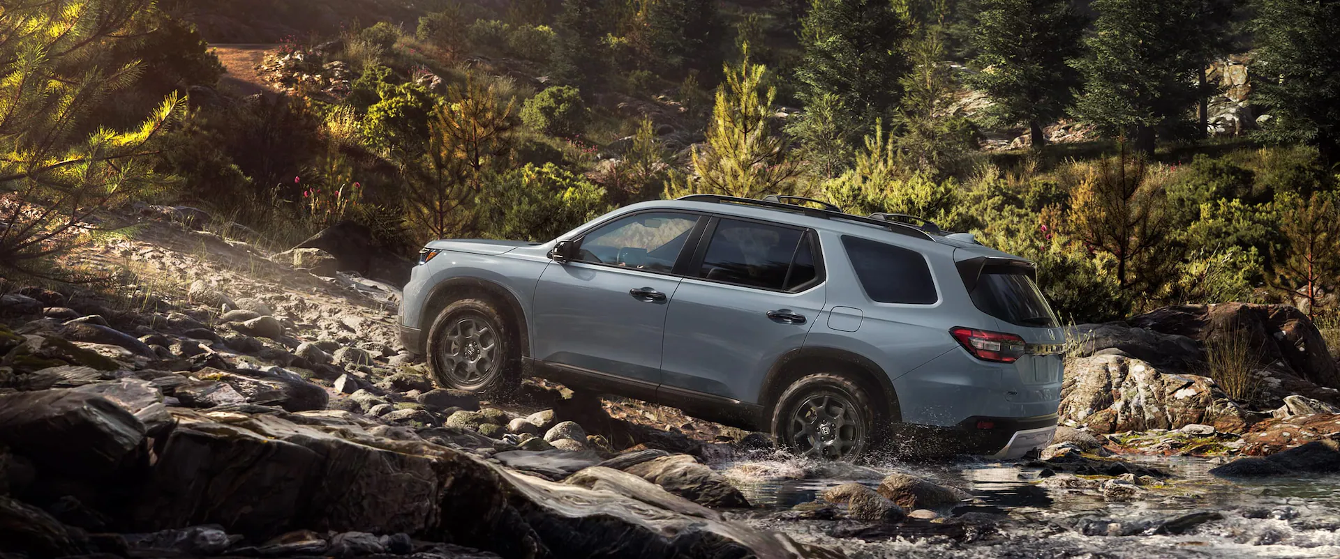 Find Your Perfect Match: From Sport To Elite