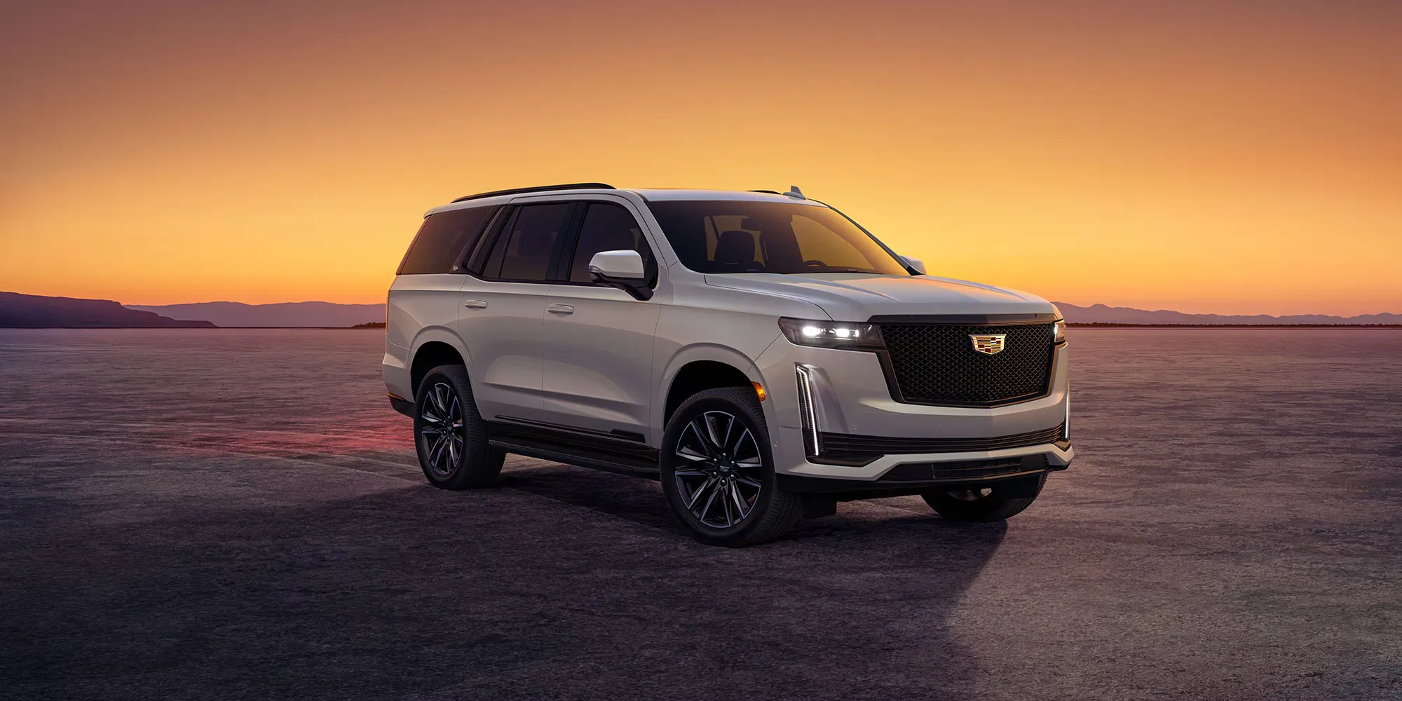 The Bold Exterior That Demands Attention