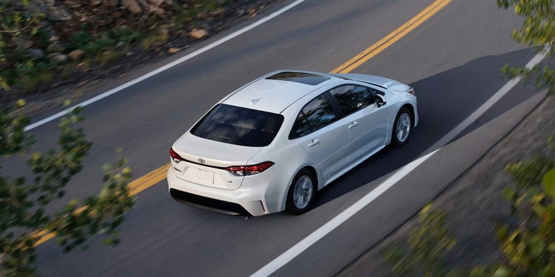 2026 White Corolla Hybrid cruising on road in its stunning back profile