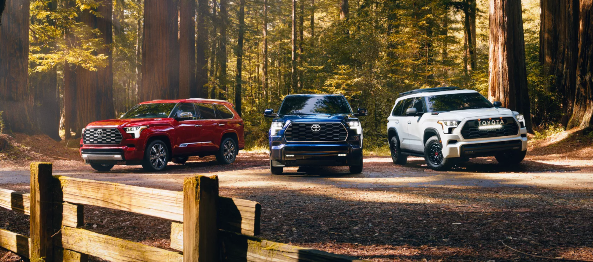 new 2025 Toyota Sequoia
