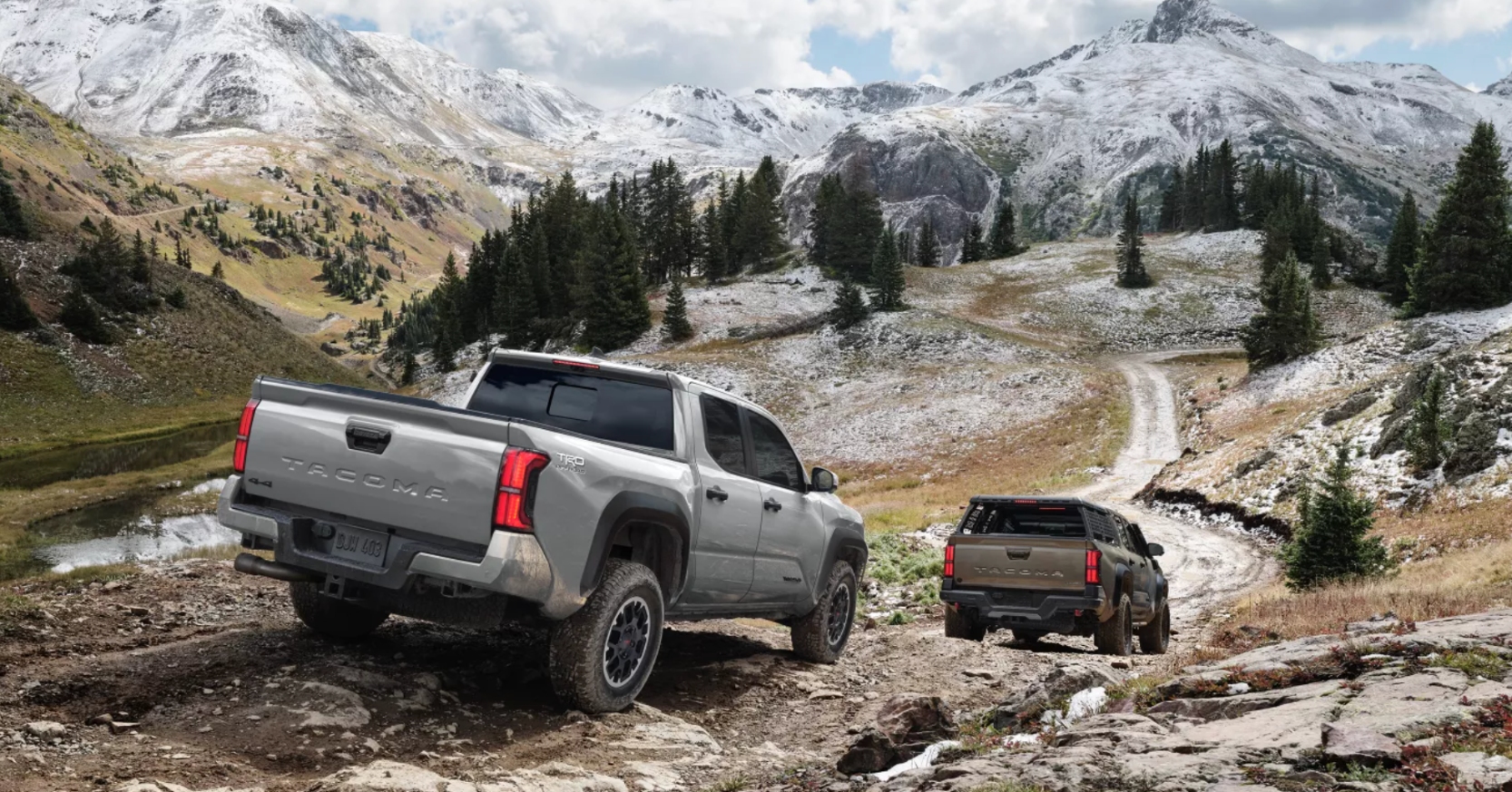 New Toyota Tacoma