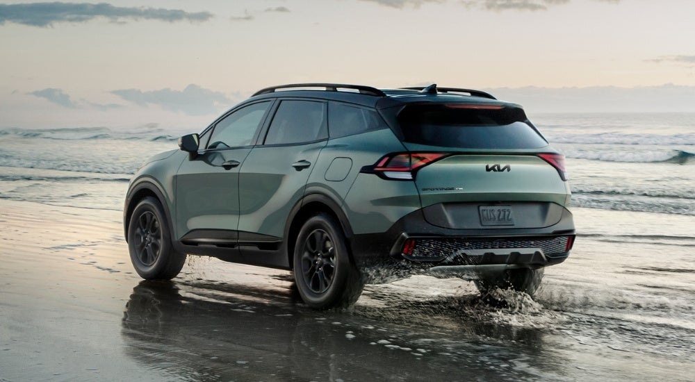A green 2025 Kia Sportage is shown from the rear at an angle.