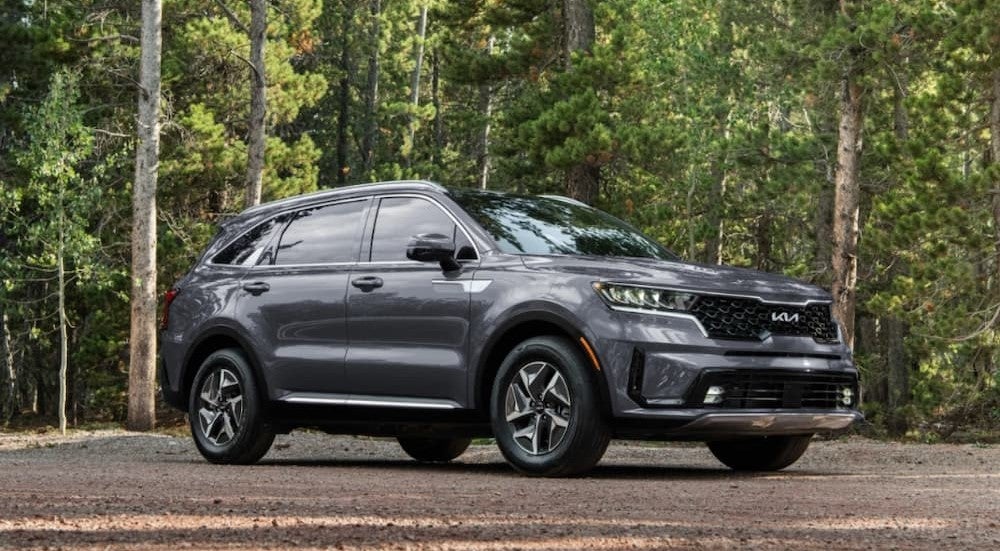 A black 2024 Kia Sorento Hybrid for sale near Chicago parked near a forest.