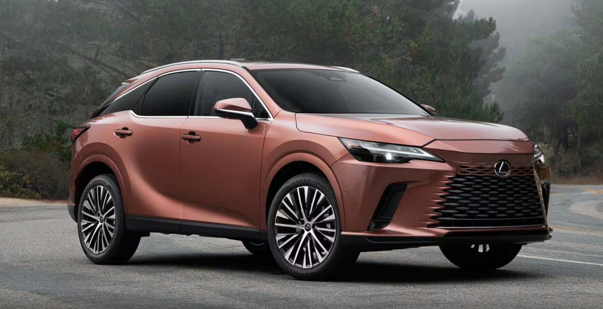 2024 Lexus RX