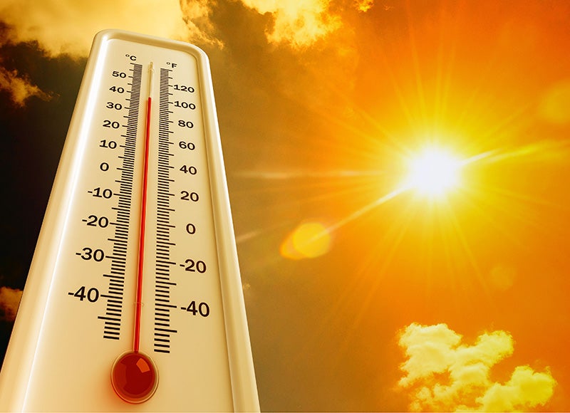 Texas Heat