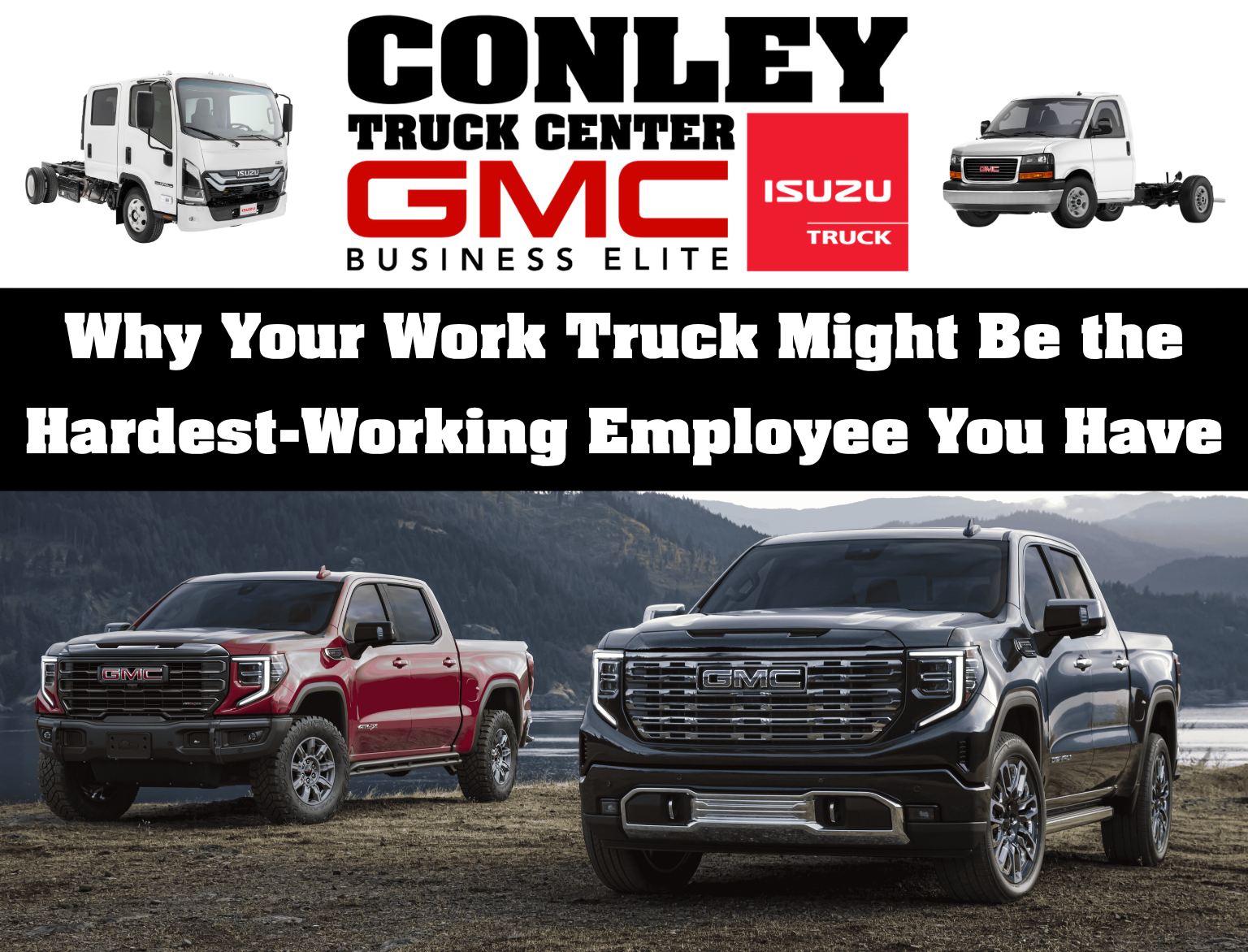 WE BUY TRUCKS (5)