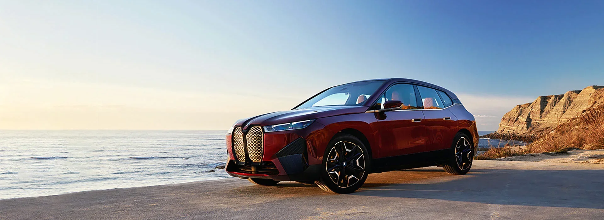 2022 BMW IX