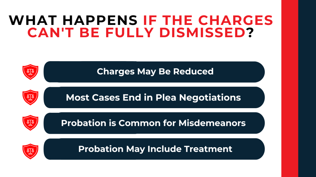 Shield icons outline reduced charges, plea negotiations, probation, and treatment as possible outcomes.