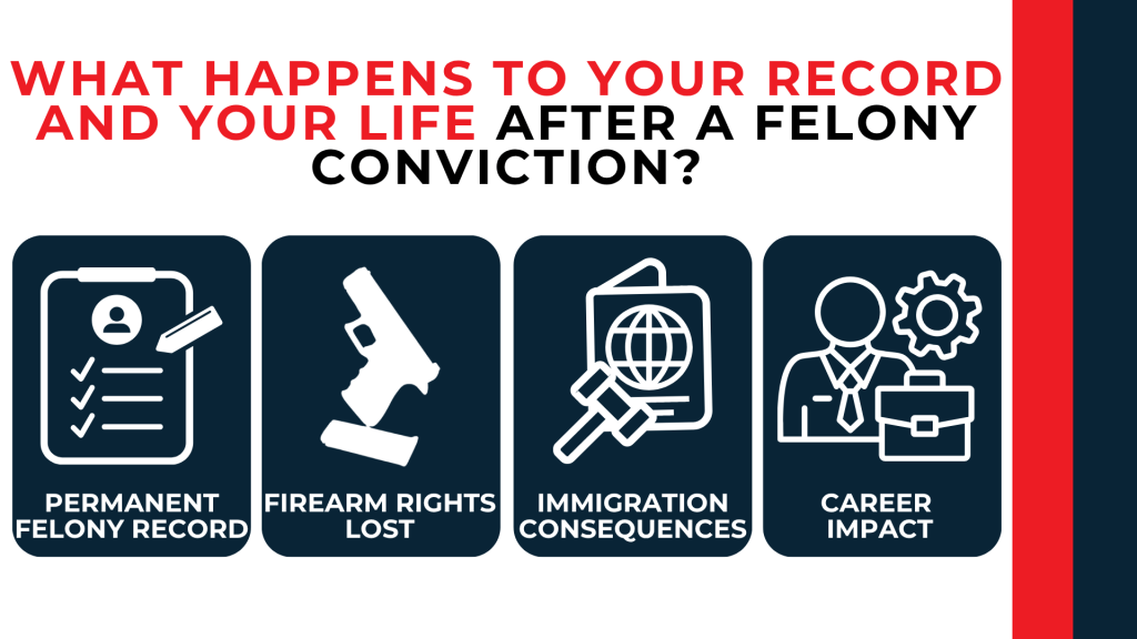 Icons show lasting effects including felony record, firearm loss, immigration issues, and career impacts.