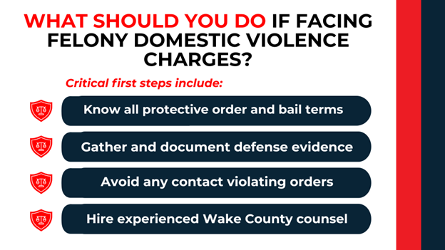: Shield icons with list; outlines steps like knowing bail terms, gathering evidence, and hiring counsel.