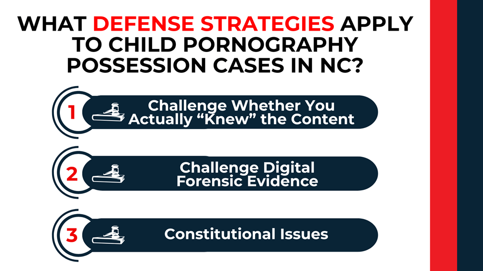 Numbered list bars (1–3) with gavel icons: dispute knowledge, challenge digital forensics, raise constitutional issues.