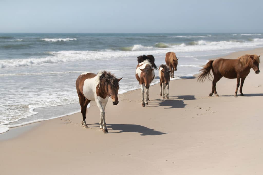 beach road trips